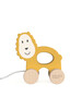Matchstick Monkey Playtime Pull Along Animal - Ludo Lion image number 2